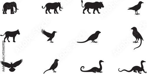 Black vector silhouettes of domestic and wild animals set collection