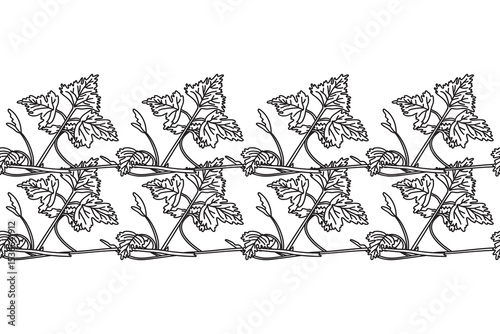 Line art botanical floral horizontal border with grapevine isolated on white background. Hand drawn outline vine plant with long stem and leaves vector illustration.Graphic design element for Birthday