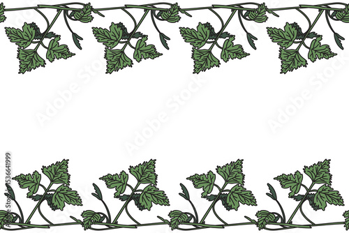 Botanical floral horizontal border with grapevine isolated on white background. Hand drawn vine plant with long stem and green leaves vector illustration. Graphic design element for Birthday Wedding