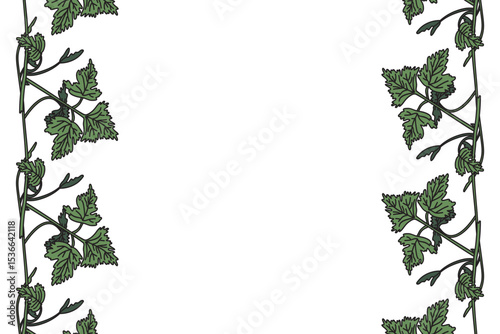 Botanical floral vertical border with grapevine isolated on white background. Hand drawn vine plant with long stem and green leaves vector illustration.Graphic design element for Birthday Wedding Card