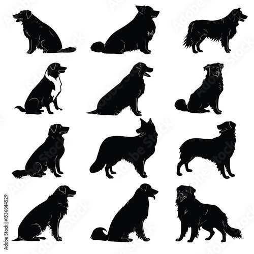 australian shepherd silhouette set, Black & White silhouette set