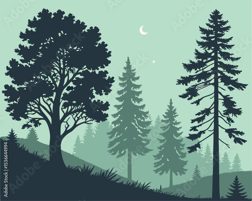 Silhouette Pine Trees Evergreen Coniferous Forest Illustration