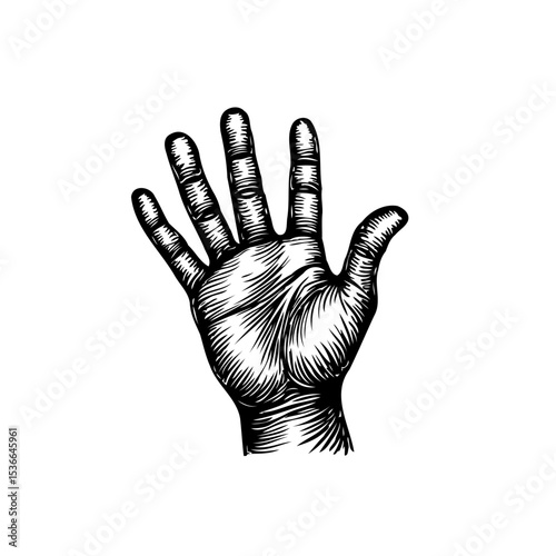 Detailed Line Art Illustration of a Hand in a Stop Gesture on White Background