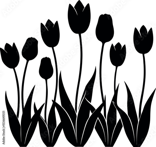 Black and White Tulip Silhouette