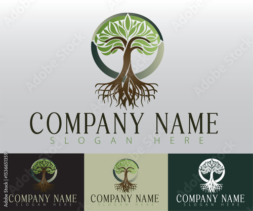 A circle encompassing a tree, symbolizing the interconnectedness of life and nature.