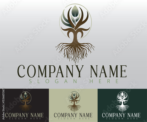 Eco Tree logo design concept.