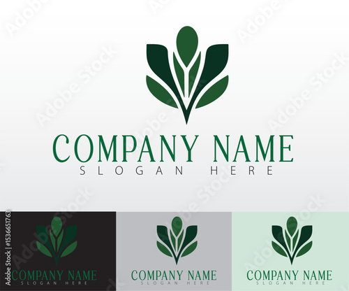 A stylish vegan food branding concept ideal for labels and packaging.