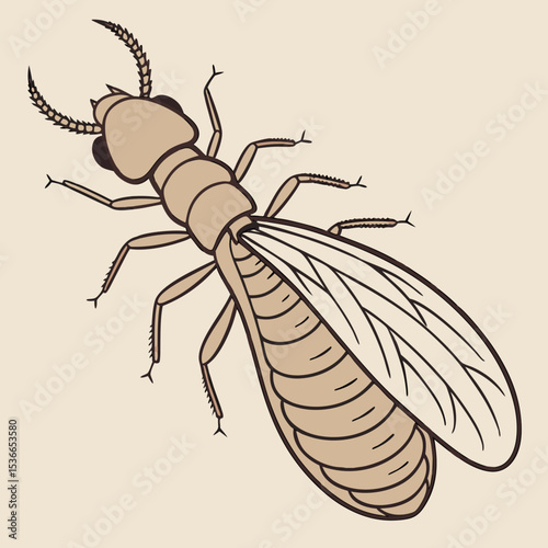 Termite illustration with detailed features and wings  