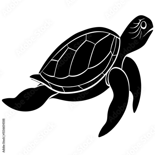 turtle vector illustration