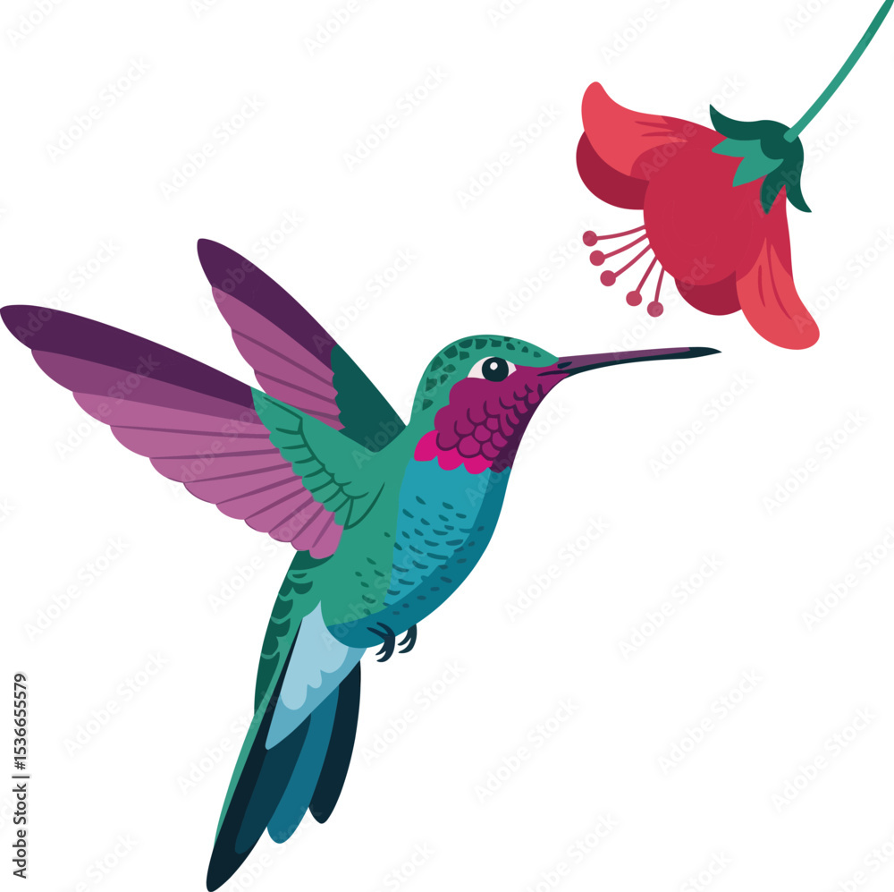 Obraz premium hummingbird in flight