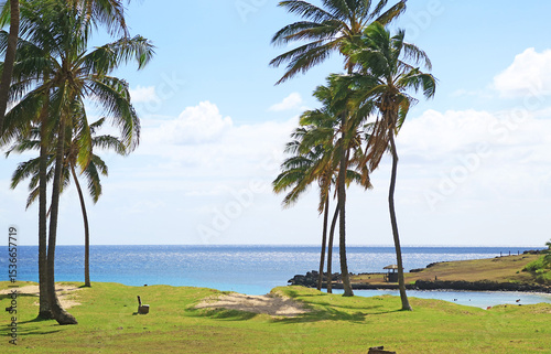 Impressive View of Anakena Beach with Rows of Pam Trees, Pacific Ocean Coast, Easter Island, Chile, South America