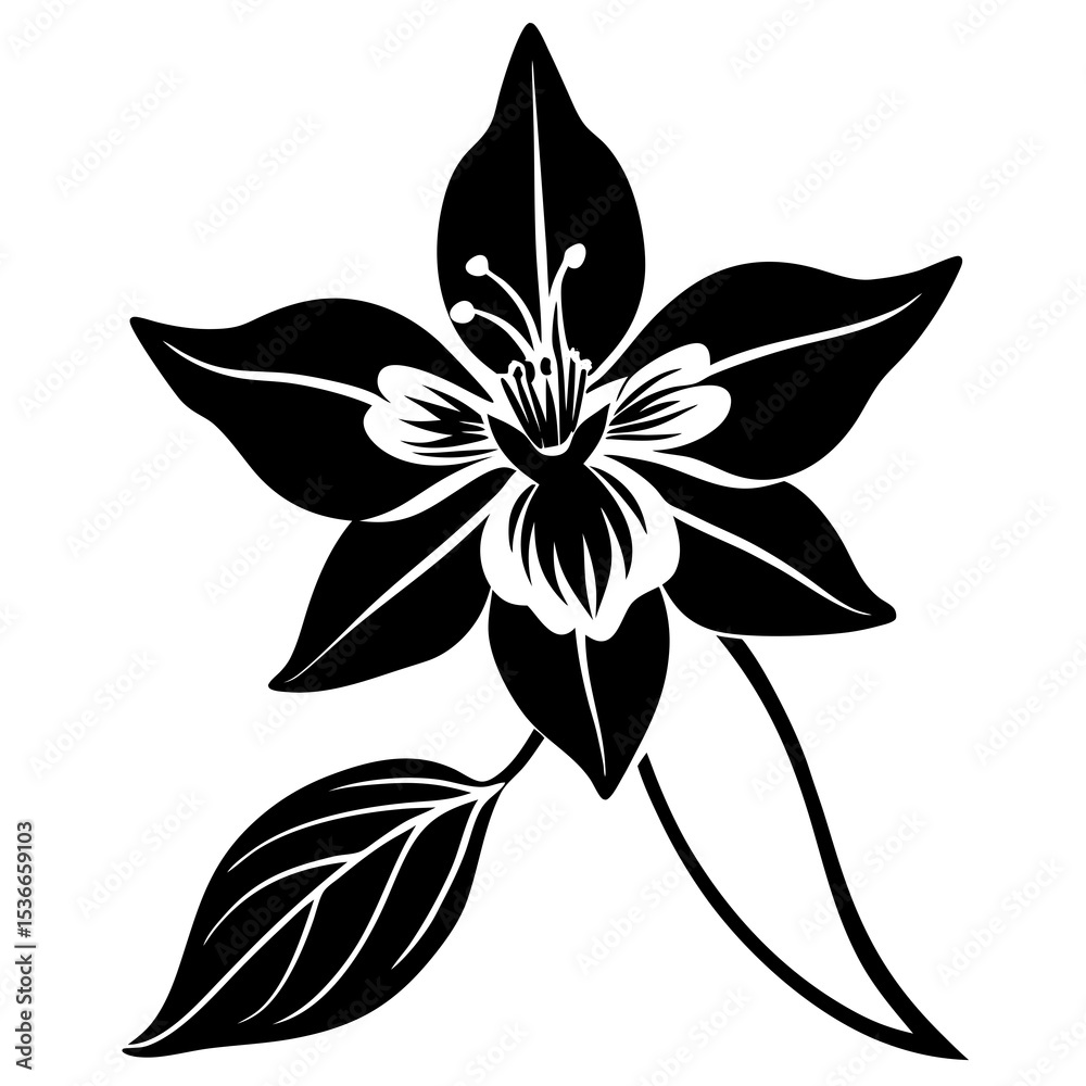 Obraz premium black and white flower