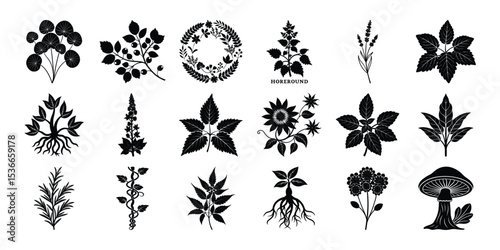 Vintage Botanical Silhouette Set: Reishi, Neem, Chicory, Herbal Bottles & Drying Racks