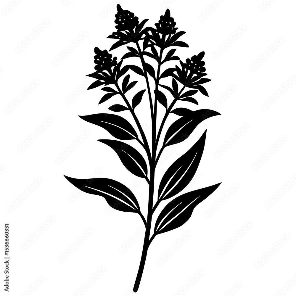 Naklejka premium black and white flowers