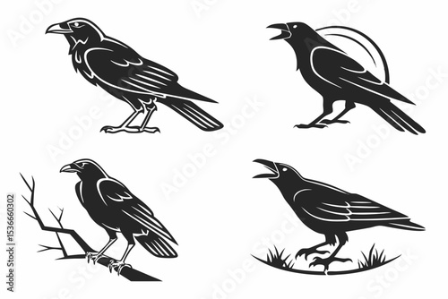 set of birds