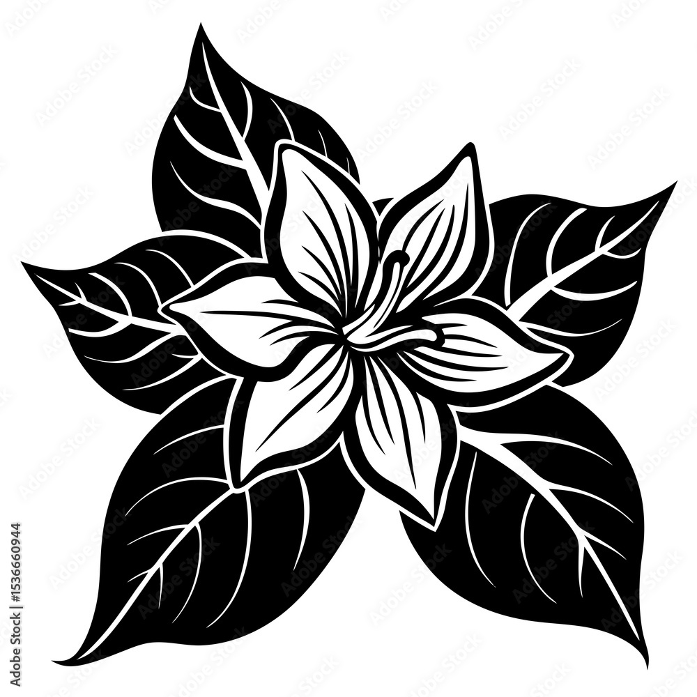 Fototapeta premium black and white flower