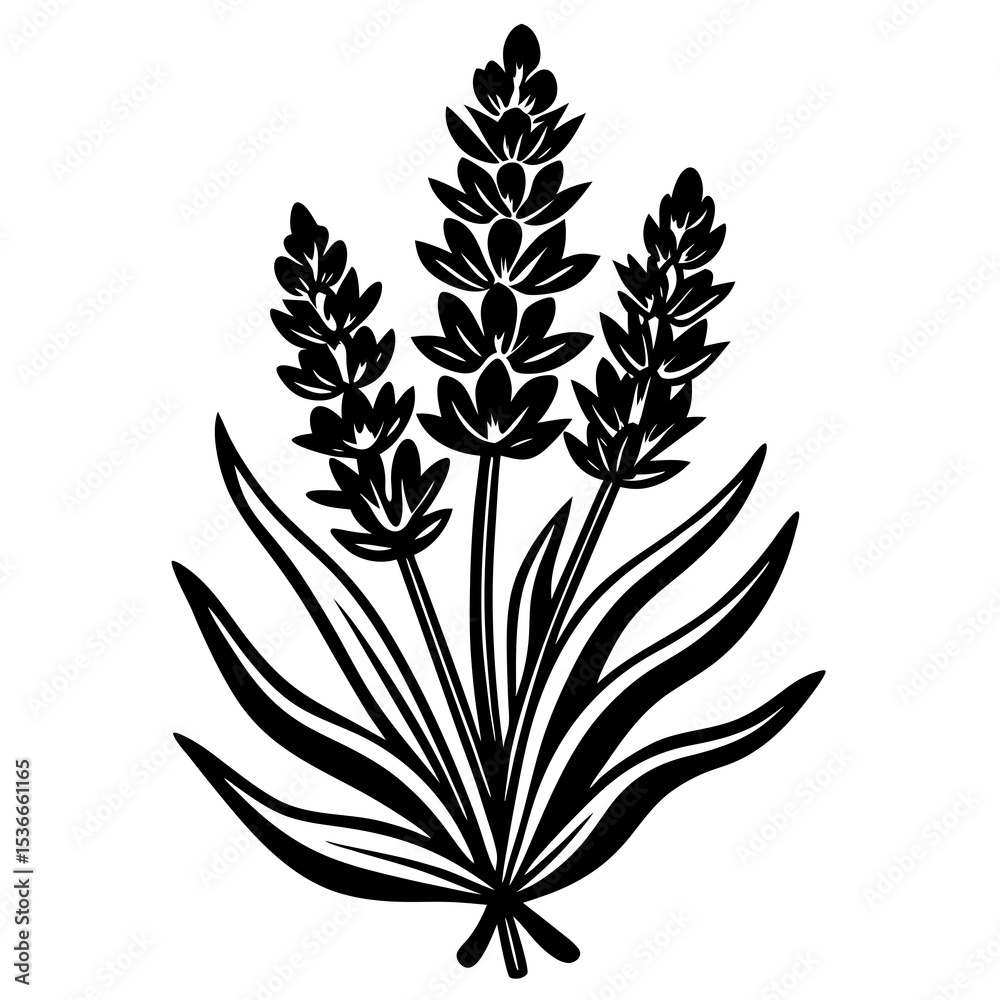 Fototapeta premium set of black silhouettes of leaves