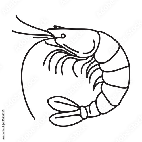 Detailed Shrimp Line Art Illustration Vector for Seafood Designs