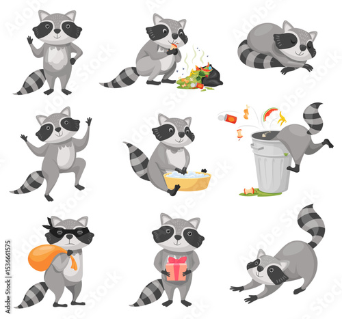 Cartoon raccoon. Racoon cute character funny animal mascot pose, baby racoons happy face racoon burglar zoo wild nature life coon in trash can, animals set neat vector illustration