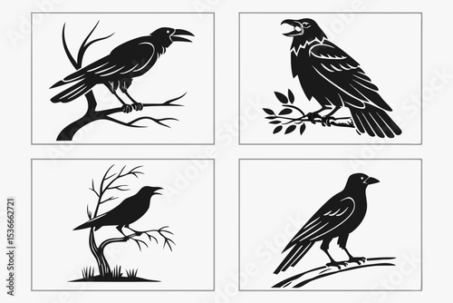set of birds