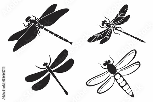 dragonfly