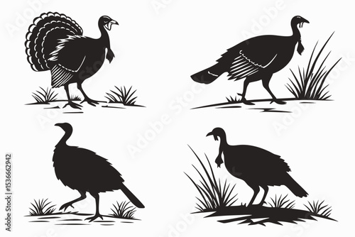 set of animals