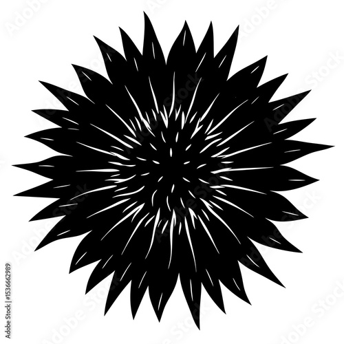 black and white fireworks