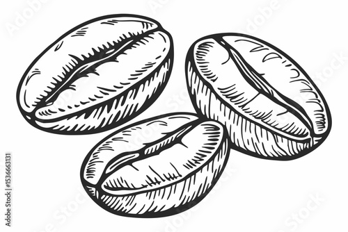 hand drawn vector illustration of an apple