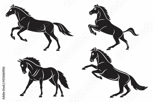 black and white horses