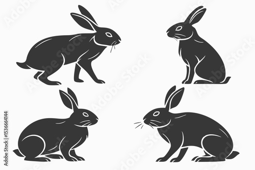 two rabbits on a white background