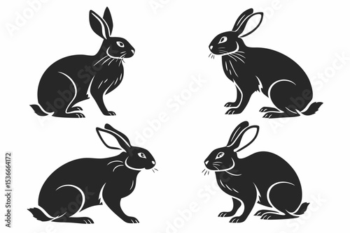 vector illustration of rabbits