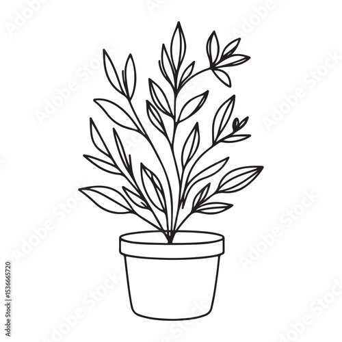 Potted plant vector illustration indoor greenery decoration for designers