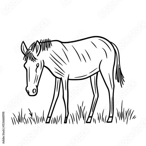 Outline of a horse grazing in the grass  