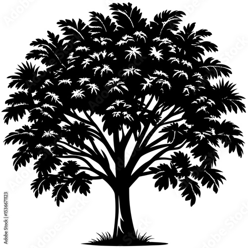 Tropical tree silhouette on white background