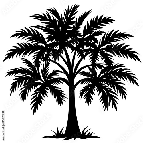 Tropical tree silhouette on white background