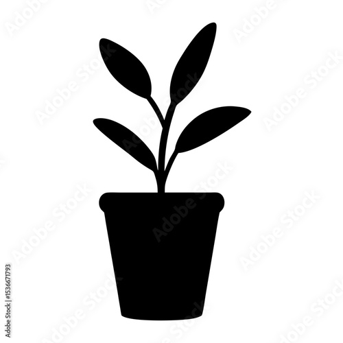 Simple Black Silhouette of a Potted Plant with Oval Shaped Leaves