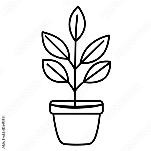 Line drawing of a decorative plant in a pot  