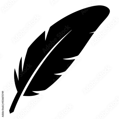 Detailed black and white image showing a single feather with barbs