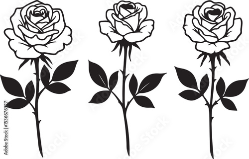 Elegant Black and White Line Art Depiction of Three Roses Symbolizing Love Beauty and Grace in a Simple yet Sophisticated Design