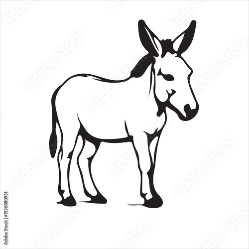donkey isolated on white background