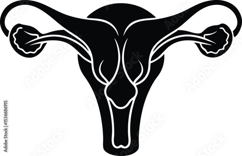  female reproduction system anatomy silhouette vector