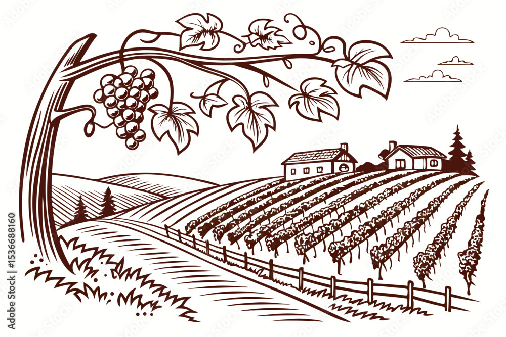 Fototapeta premium Hand drawn vineyard landscape. Isolated on white background. Vintage style vector illustration