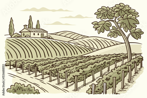 Hand drawn vineyard landscape. Isolated on white background. Vintage style vector illustration