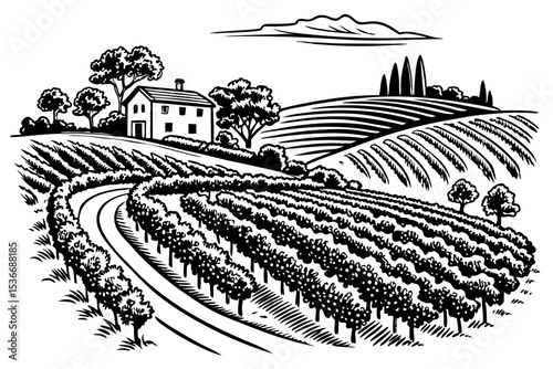 Hand drawn vineyard landscape. Isolated on white background. Vintage style vector illustration