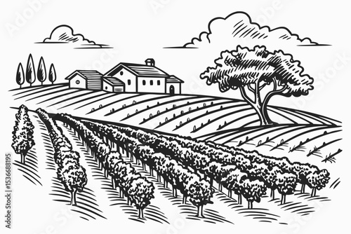 Hand drawn vineyard landscape. Isolated on white background. Vintage style vector illustration