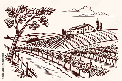 Hand drawn vineyard landscape. Isolated on white background. Vintage style vector illustration