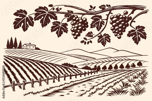 Hand drawn vineyard landscape. Isolated on white background. Vintage style vector illustration