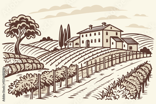 Hand drawn vineyard landscape. Isolated on white background. Vintage style vector illustration