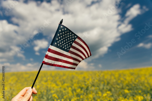 Wallpaper Mural Hand holding the American flag for Independence Day - 4th of July.  Torontodigital.ca