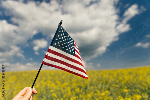 Wallpaper Mural Hand holding the American flag for Independence Day - 4th of July.  Torontodigital.ca